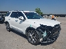 KM8R4DHE4MU****** Salvage and Wrecked 2021 Hyundai Palisade in Dallas