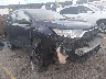 2HKRW6H38KH****** Salvage and Wrecked 2019 Honda CR-V in Denver East