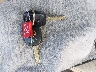 JTHBN30F310****** Salvamento 2001 Lexus LS 430 en Estado de Florida