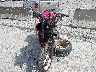 MLHNC5101J5****** Used and Repairable 2018 Honda CBR300R in Florida State