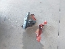1FA6P8TH3G5****** Destrozados 2016 Ford Mustang en Estado de California