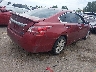 1N4AL3AP2DN****** Salvage and Wrecked 2013 Nissan Altima in Colorado State