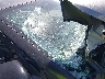 3N1CP5DV5ML****** Salvage and Repairable 2021 Nissan Kicks in Ace Carson