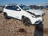 1C4PJLLB9MD****** Salvamento y Destrozados 2021 Jeep Cherokee en Amarillo
