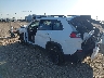 1C4PJLLB9MD****** Salvamento y Reparables 2021 Jeep Cherokee en Amarillo