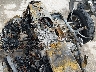 2BXJBDC17BV****** Salvamento 2011 Can-Am Spyder Roadster en Wichita