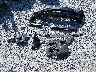 WBA4A9C53GG****** Wrecked 2016 BMW 4 Series in Washington State