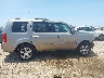 5FNYF3H50BB****** Reparables 2011 Honda Pilot en Estado de Texas
