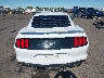 1FA6P8TH8K5****** Wrecked 2019 Ford Mustang