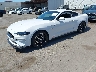 1FA6P8CF0M5****** Usados y Reparables 2021 Ford Mustang en San Diego