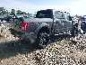 1FTEW1EG7FF****** Salvamento y Destrozados 2015 Ford F-150 en Estado de Ohio