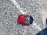 5J6YH28777L****** Wrecked 2007 Honda Element in Nevada State
