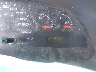 1FTNE24W98D****** Salvamento 2008 Ford E-250 en East Bay