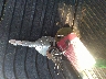 3ALACWDT8GD****** Salvage 2016 Freightliner M2 in Ohio State