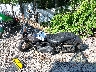 1HD1GXM1XGC****** Used 2016 Harley-Davidson Dyna Street Bob in Pennsylvania State