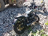 1HD1GXM1XGC****** Salvage and Wrecked 2016 Harley-Davidson Dyna Street Bob in Pennsylvania State