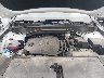 5XYRL4JC7RG****** Reparables 2024 Kia Sorento en Raleigh
