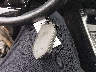 5XYRL4JC7RG****** Salvamento 2024 Kia Sorento en Estado de Carolina del Norte
