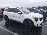 5XYRL4JC7RG****** Salvamento y Destrozados 2024 Kia Sorento en Raleigh
