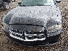 2C3CDXBGXDH****** Salvamento y Reparables 2013 Dodge Charger en Estado de Luisiana