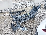 KMHLL4DG1TU****** Wrecked 2026 Hyundai Elantra in Ohio State