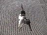 1FTEF14N2RL****** Salvamento 1994 Ford F-150 en Estado de Michigan