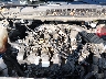 2FMPK4J92LB****** Repairable 2020 Ford Edge in Port Murray