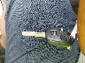 JTHBA30G165****** Salvage 2006 Lexus ES 330 in North Carolina State