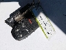 3C4NJDCB6NT****** Salvage 2022 Jeep Compass in New Jersey State