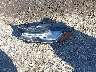 SADCM2FVXLA****** Destrozados 2020 Jaguar F-PACE en Estado de Georgia