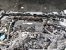1HGCT1B89FA****** Repairable 2015 Honda Accord in Raleigh