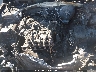5NPE24AF1HH****** Repairable 2017 Hyundai Sonata in Raleigh