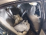 19UDE2F35JA****** Wrecked 2018 Acura ILX in Chattanooga