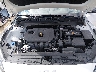 3KPF54AD4RE****** Repairable 2024 Kia Forte in Indianapolis