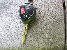 JTKKU10419J****** Salvage 2009 Scion xD in South Carolina State