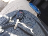 2HKRM3H33CH****** Salvage 2012 Honda CR-V in Maryland State