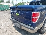 1FTFW1EV1AF****** Salvage and Repairable 2010 Ford F-150 in Maryland State
