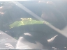 WA125AGUXS2****** Wrecked 2025 Audi All-new Sq5