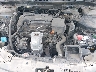 1HGCR2F39HA****** Repairable 2017 Honda Accord in San Antonio South