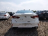 5NPE34AF1KH****** Destrozados 2019 Hyundai Sonata
