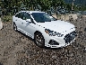 5NPE34AF1KH****** Salvamento y Destrozados 2019 Hyundai Sonata en Port Murray