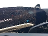 WP0AA2Y13NS****** Repairable 2022 Porsche Taycan