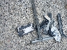 2T1KR32E95C****** Wrecked 2005 Toyota Matrix in Ohio State
