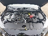 3N1AB8CV8SY****** Repairable 2025 Nissan Sentra in Knoxville