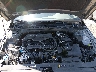 KMHLL4DG0SU****** Repairable 2025 Hyundai Elantra in Tulsa