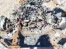 1FTFW1E50JK****** Repairable 2018 Ford F-150 in Longview