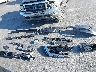 5N1BT3BA2PC****** Salvage 2023 Nissan Rogue in Illinois State