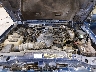 1FTKR4EE9BP****** Repairable 2011 Ford Ranger in Boise