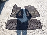 2T2BZMCA0GC****** Wrecked 2016 Lexus RX 350 in Missouri State