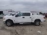 1FTFW1EF9EK****** Used 2014 Ford F-150 in Illinois State
